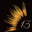 13degreesofgold.com favicon