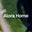 alorahome.co