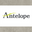 antelopeshoes.com