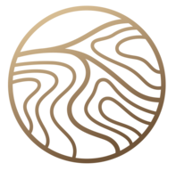 artecasso.com favicon