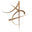 asiatimepiece.com favicon