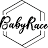 baby-race.nl favicon