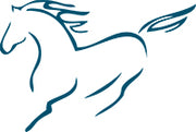 bairnsdalehorsecentre.com.au