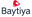 baytiya.store favicon