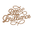 beesbrilliance.co.nz