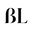 bellelacetlingerie.com favicon