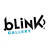 blinkgalleryusa.com favicon