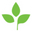 botanical.bg favicon