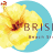 brisesbeachstore.com.br favicon
