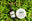 brownsorganix.com