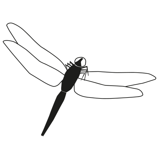 calicocoon.com favicon