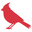 cardinalcameraused.com