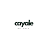 cayale.pk favicon