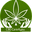cbd-care4you.dk favicon