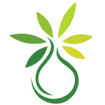 cbd-oel.com favicon