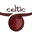 celticindia.com