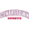 centretownsports.com