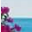 coastalpassion.com