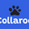 collaroopets.store