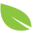 dailybraincare.com