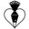 designercookiesla.com