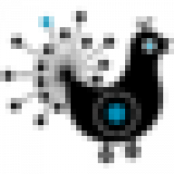 donnyadoll.dk favicon