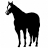 european-horse-service.com favicon
