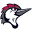 fayettevillewoodpeckers.milbstore.com