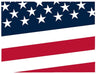 firesafetyusa.com favicon