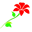 florist-phuket.com favicon