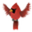 gilligalloubird.com