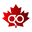 gosafetyvision.com
