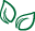 greengardenvibes.ca