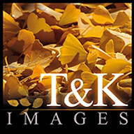 imagesbytk.com favicon