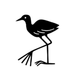 jacana.co.za favicon