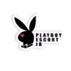 jbescortplaboy.com favicon