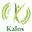 kalosgroups.com