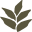 keepleaf.com