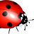 ladybugs.co.nz favicon
