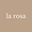larosaph.com