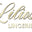 liliosalingerie.com favicon