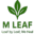moringacapsule.mleaf.co.in favicon