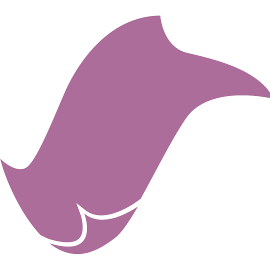 myblanke.com favicon