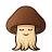 myshroomritual.com favicon