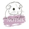 notsik.ee favicon