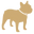 nz.petsnacks.com favicon