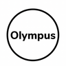 olympusnapoli.it favicon