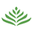organic-india.co.uk favicon