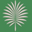 palms30a.com