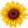 petalpusherspf.com favicon